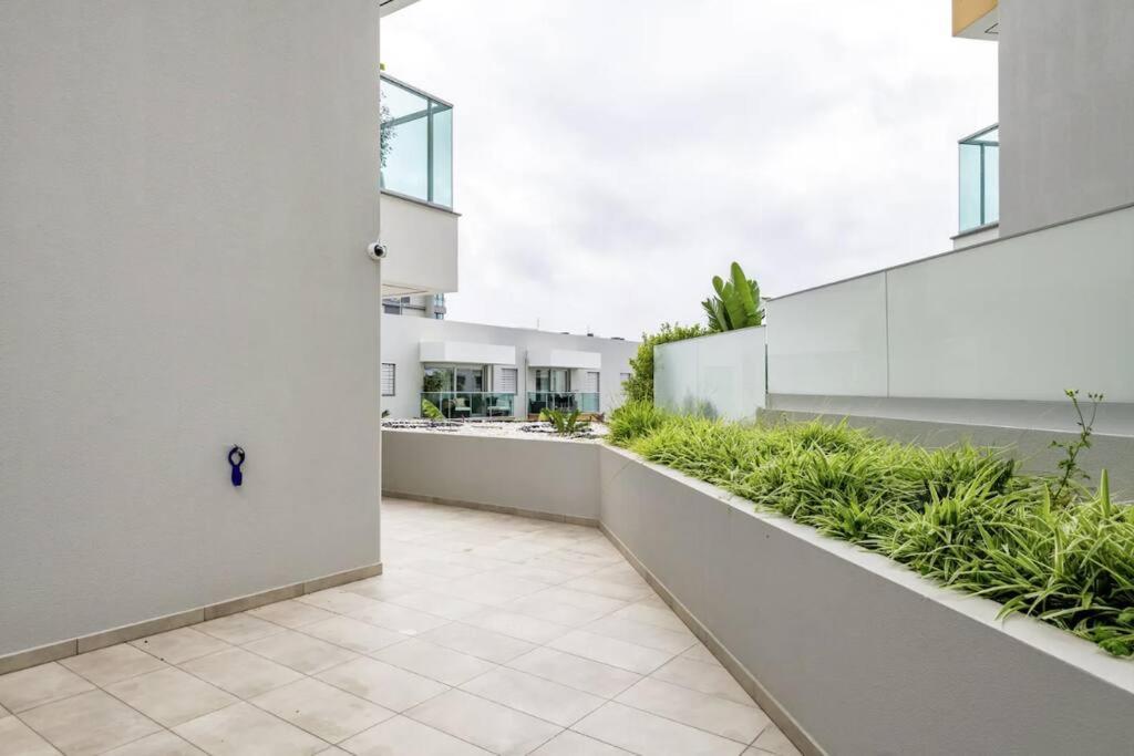 Luxury Poolside View Apartment فونشال المظهر الخارجي الصورة